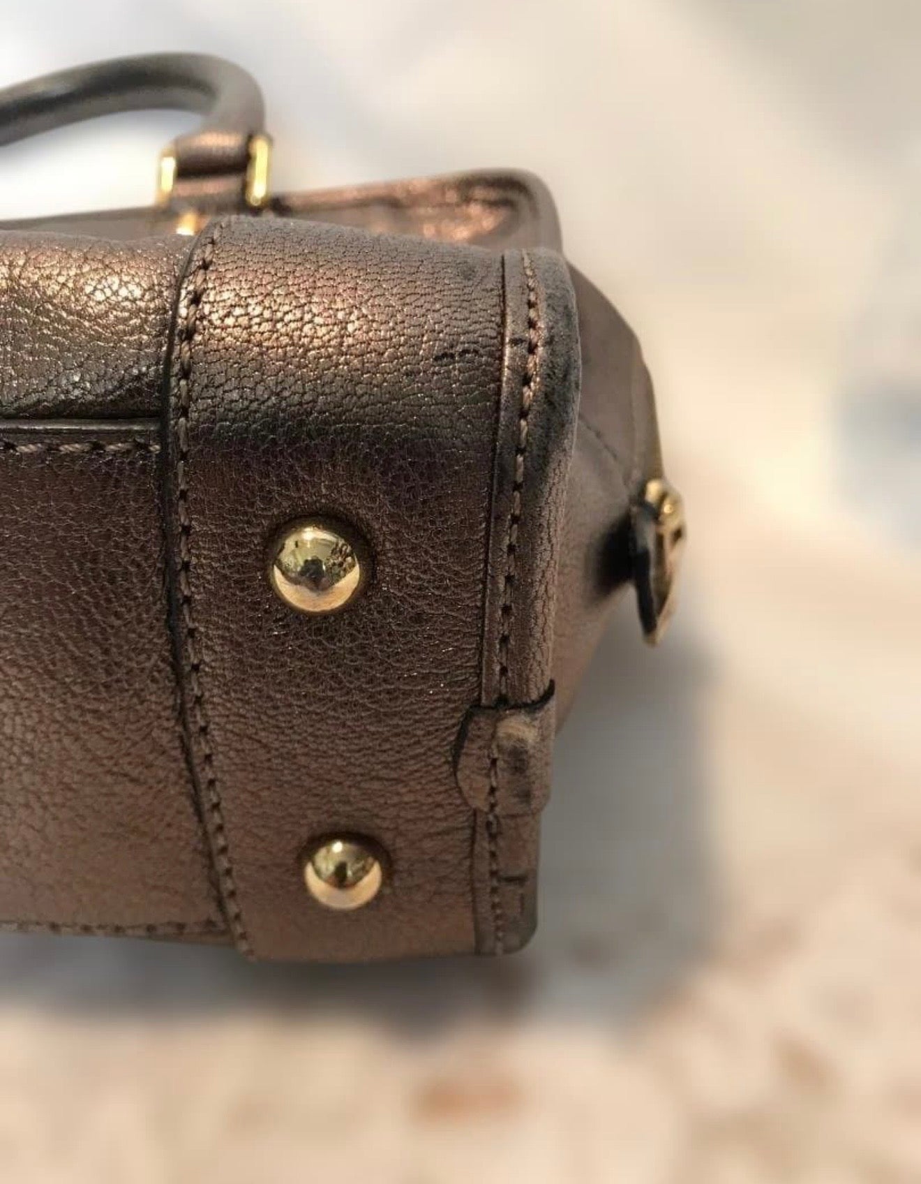 Loewe Amazona 28 Metallic Bronze Leather Handbag